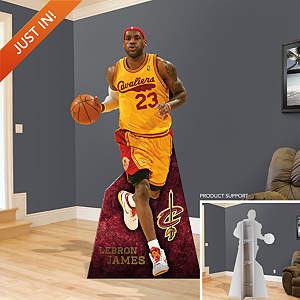 LeBron James Throwback Stand Out